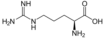 L-Arginine