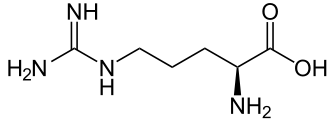 L-Arginine L-Arginine